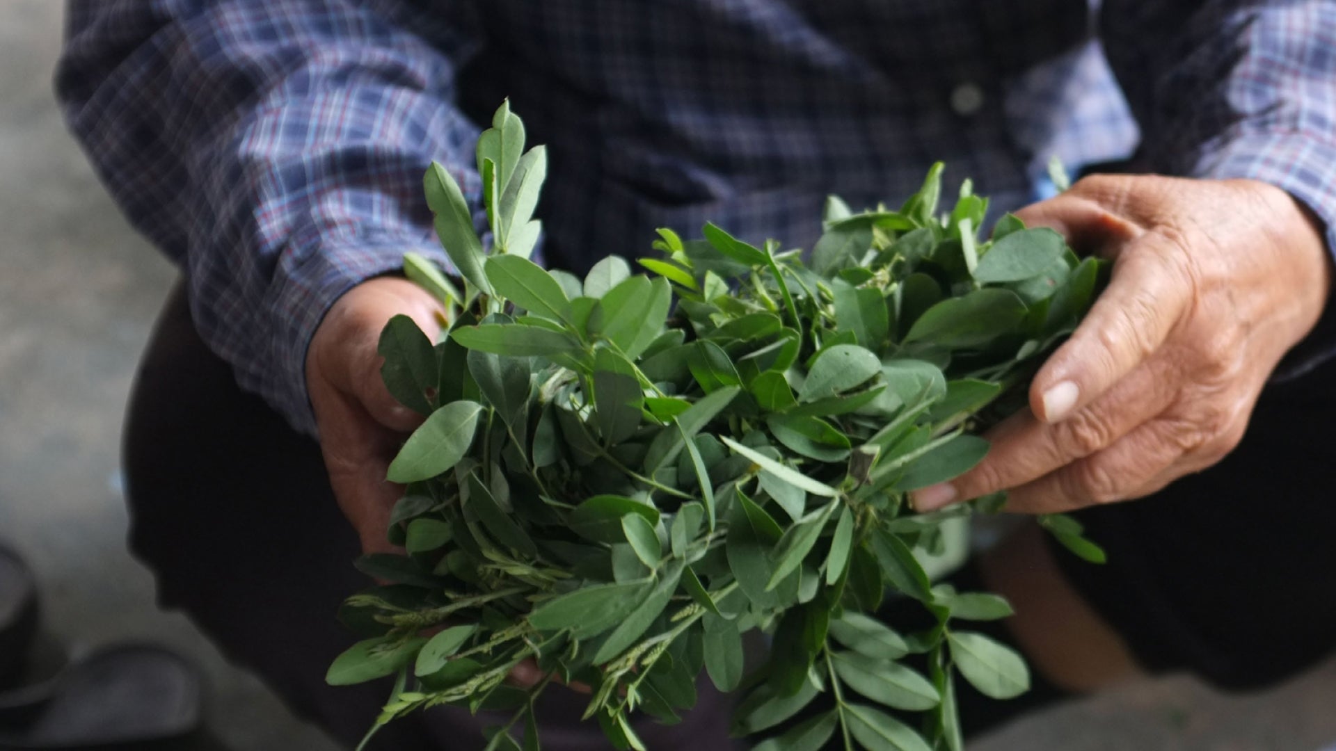 07 - Sustainable Materials - AIZOME