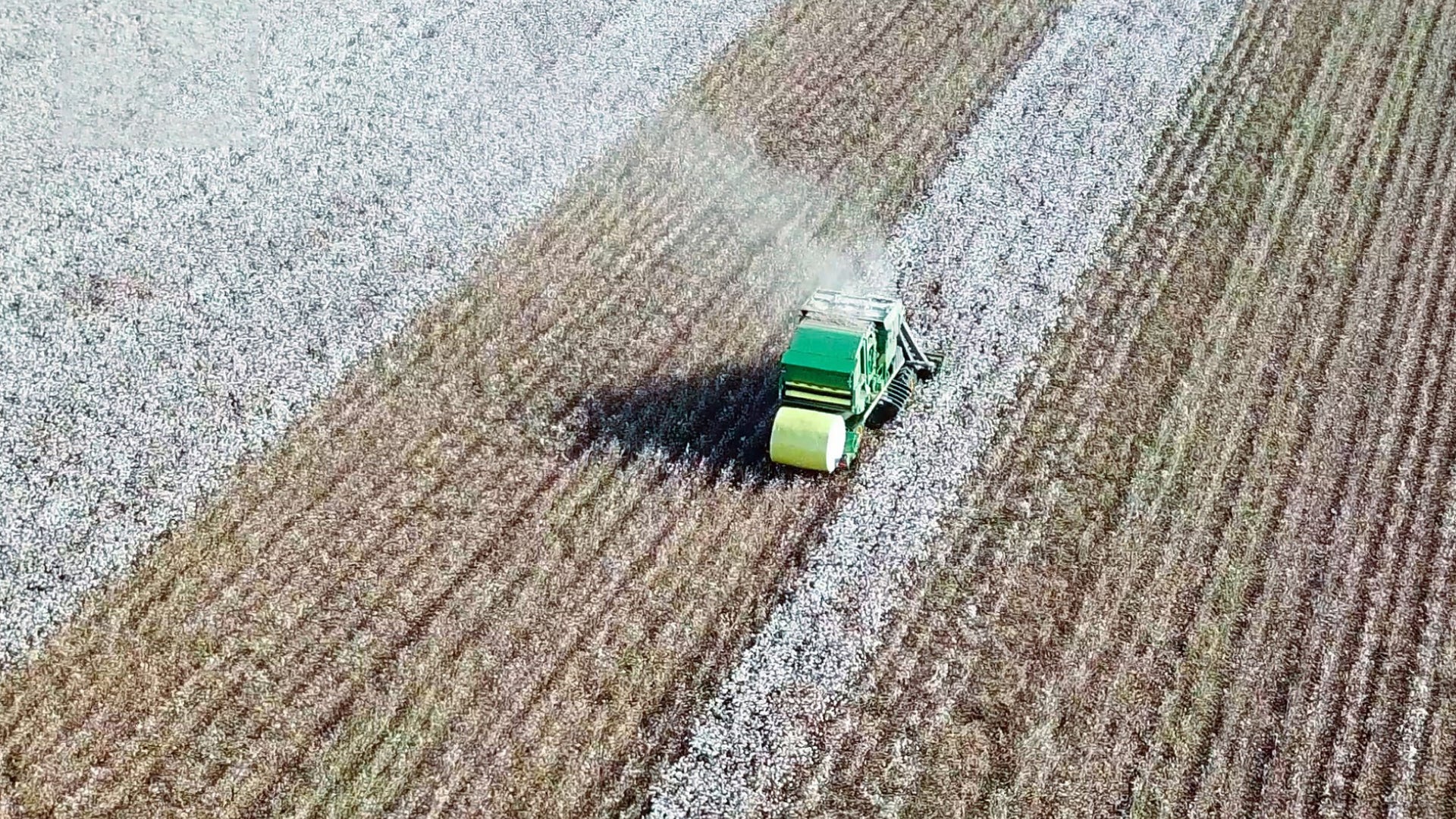 08 - Thoughts on Cotton - AIZOME