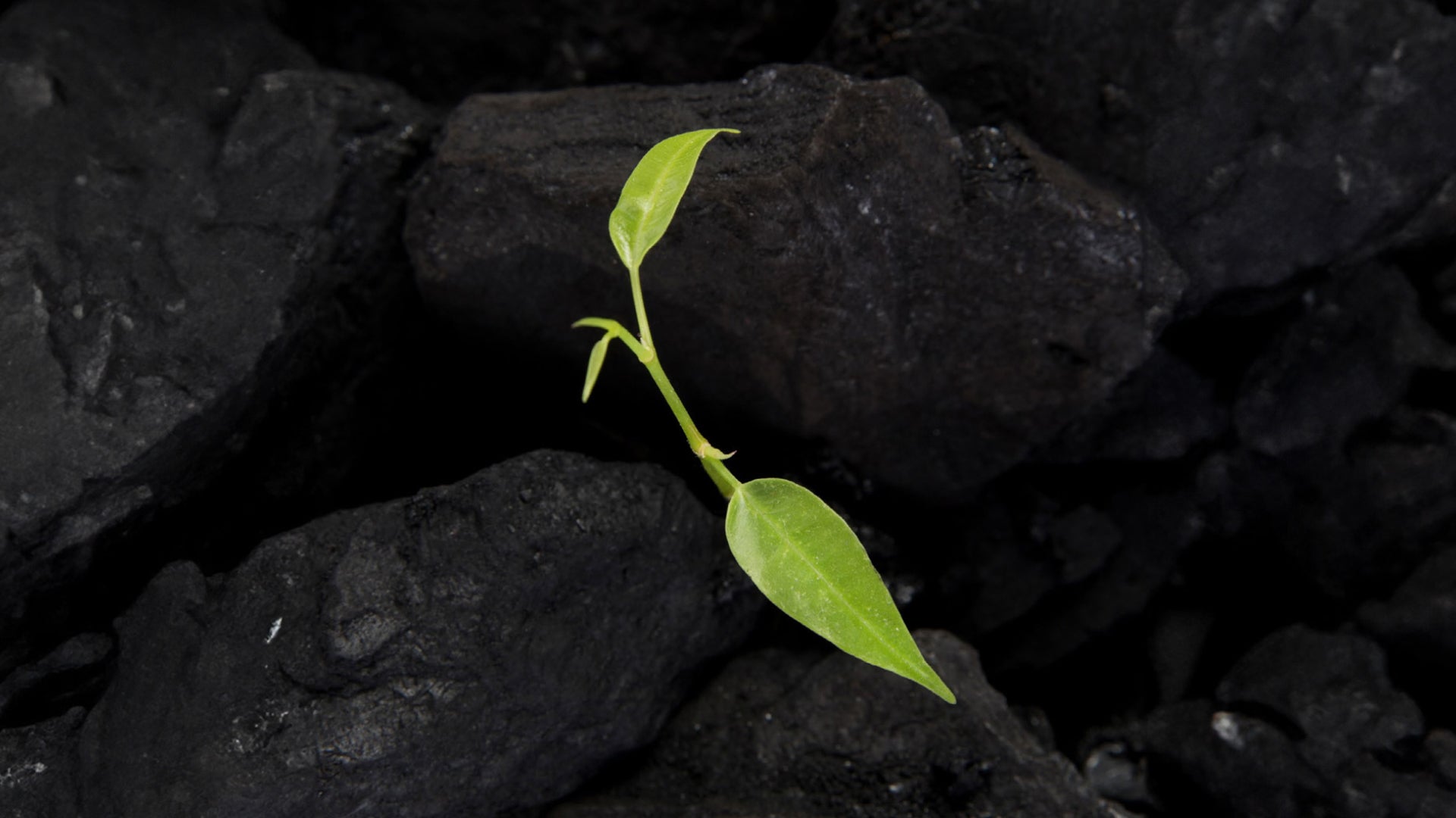 12 - Footprint - AIZOME