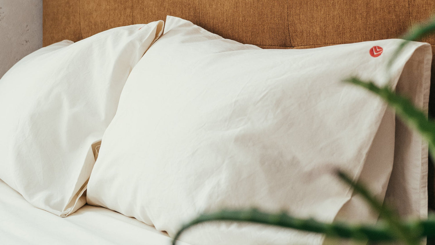 16 - Future Goals - AIZOME