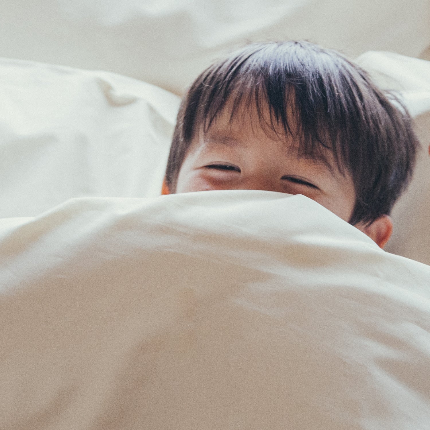 Virgin Cotton - AIZOME